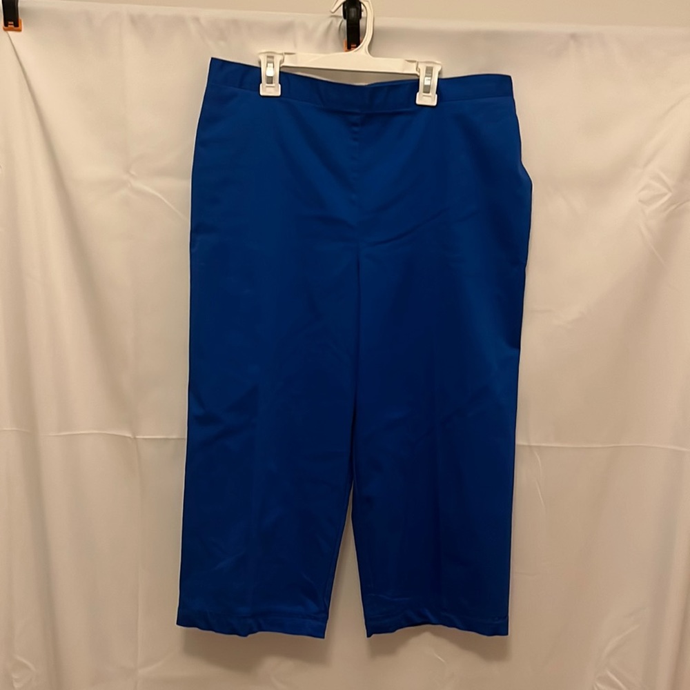 🔴 5 items for $25 Sale! Alfred Dunner Blue Capris 14